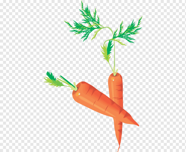 Зелень в иллюстраторе