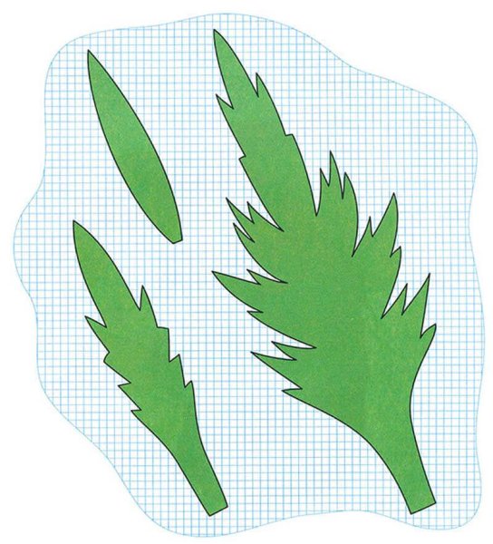 Морковь на белом фоне для детей