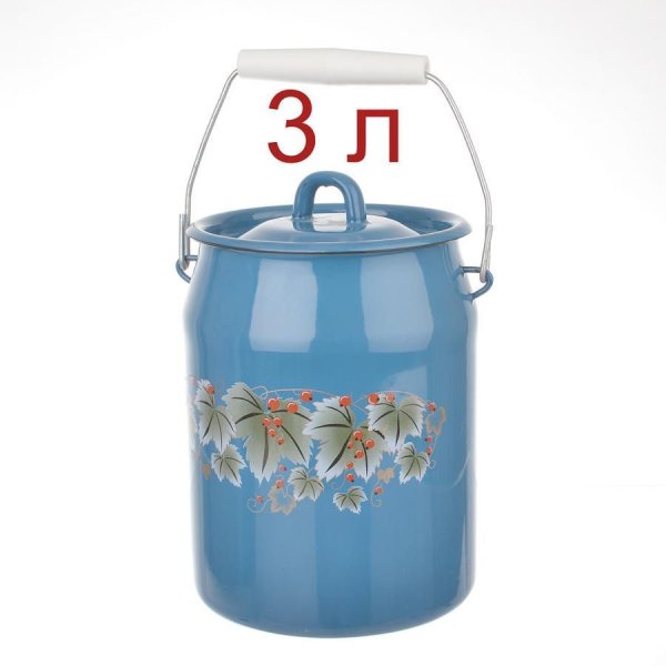 0612/1 Бидон эмаль 3л рядовой