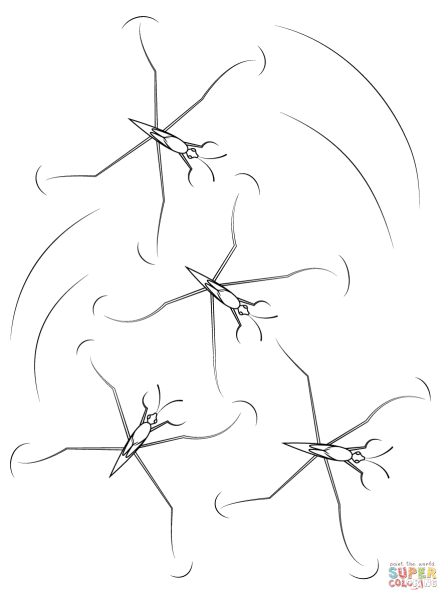 Водомерка раскраска