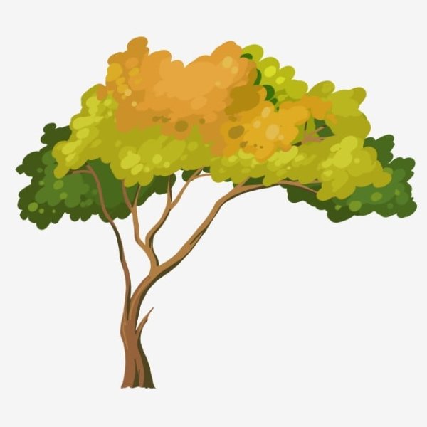 Нарисовать дерево Чинара