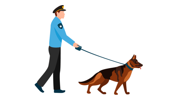 Чеченин Вячеслав кинолог