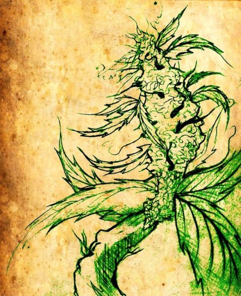 Мультяшная конопля