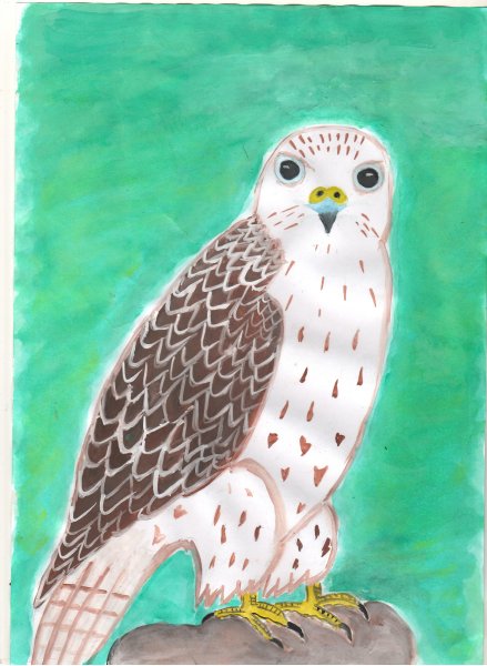 Животные красной книги рисунки