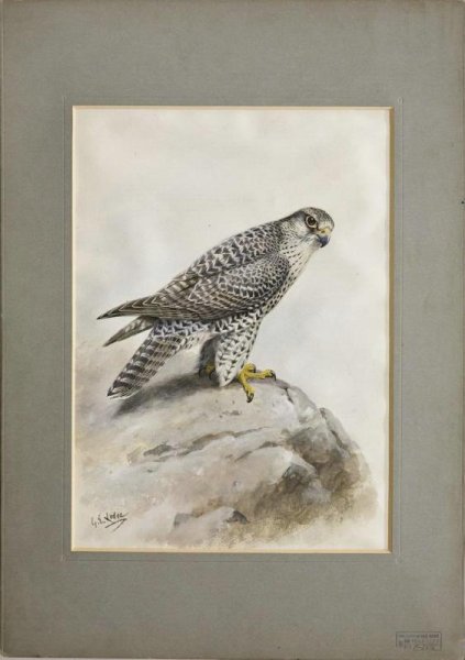 Художник Кречетов