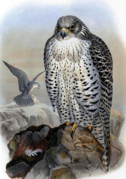 Герб Кречет