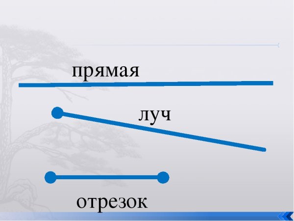 Прямая и отрезок