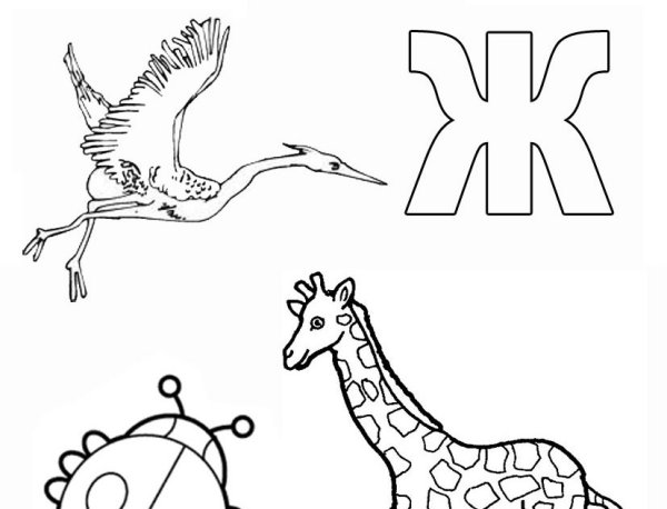 Буква ж для дошкольников