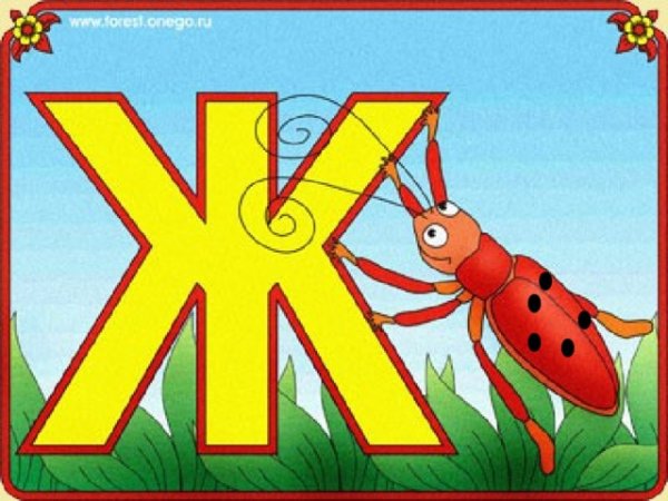 Азбука буква ж