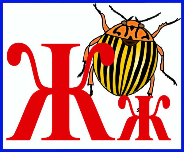 Карточки с буквами и картинками