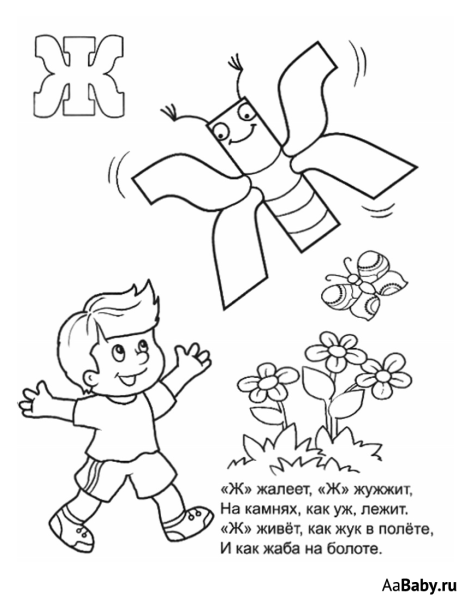 Стих про букву ж