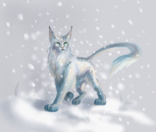 Коты Воители снегопад