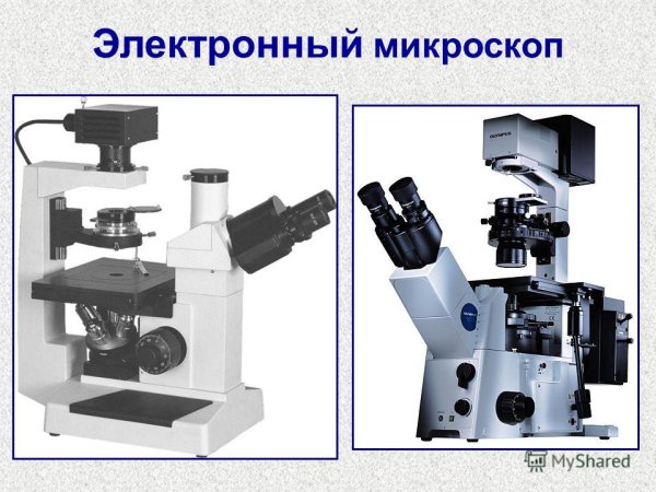 Электронный микроскоп эм-3