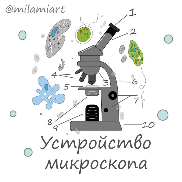Конструкция микроскопа