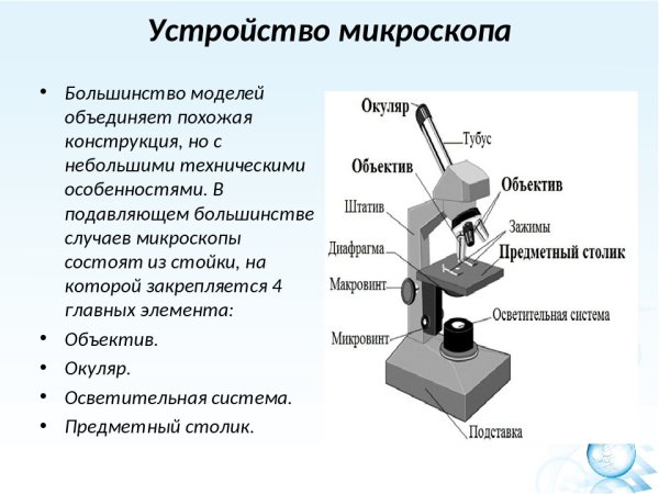 Цифровой электронный микроскоп микроскоп строение