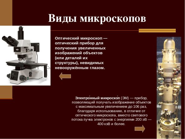 Строение микроскопа виды микроскопии