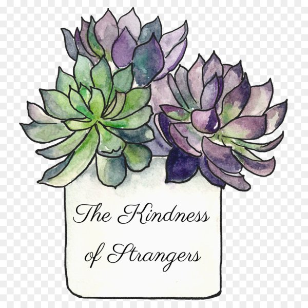 Суккуленты узор