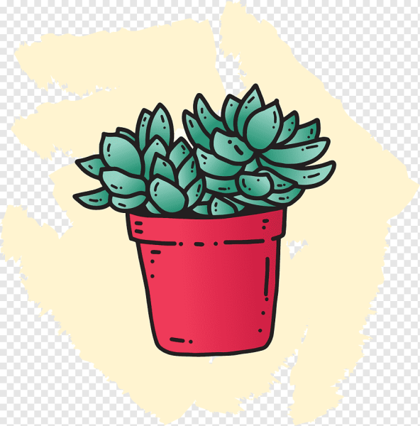 Эхеверия акварель