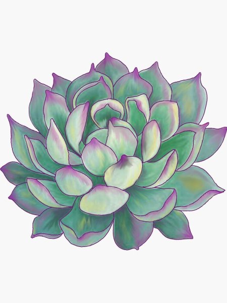 Растение в горшке арт