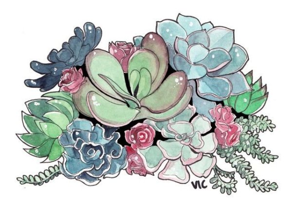 Суккуленты акварель