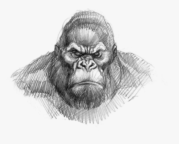 Кинг-Конг 2005 скетчи