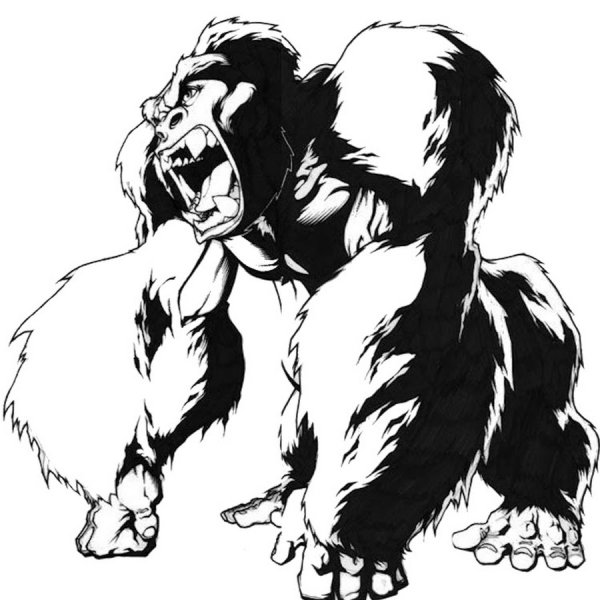 Конг карандашом поэтапно