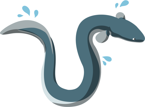 Угорь вектор