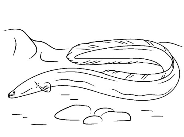 Рыба без хвоста