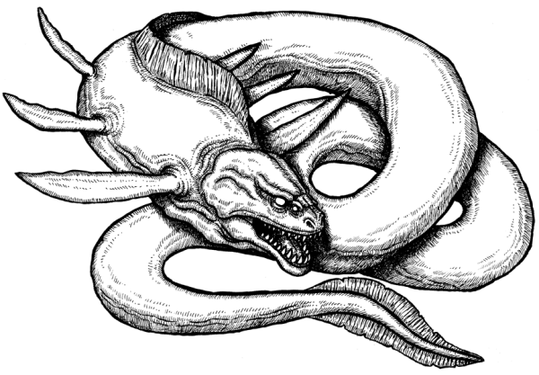 Мурена раскраска для детей