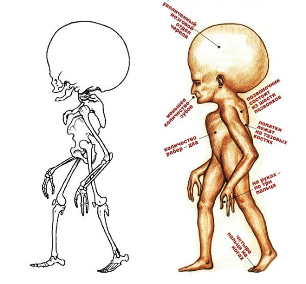 Человек будущего