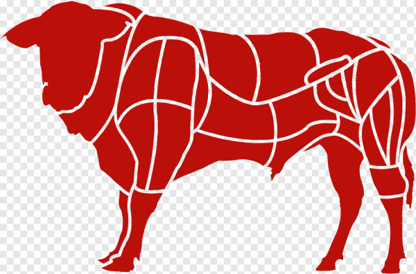 Говядина рисунок