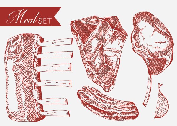 Говядина нарисовать