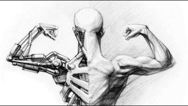 Биомеханика человека