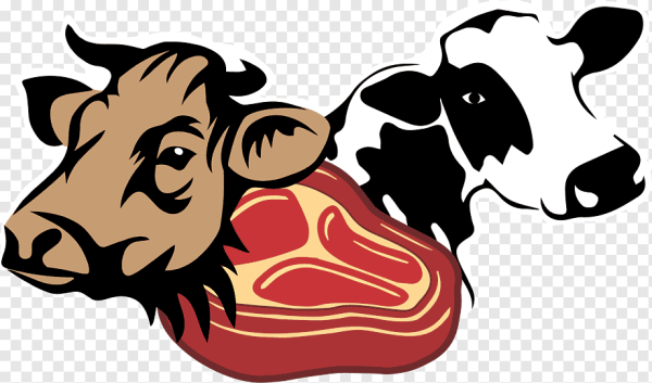 Мясо крупного рогатого скота