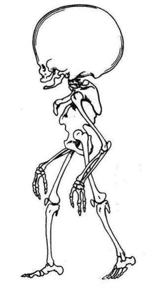 Изображение человека будущего