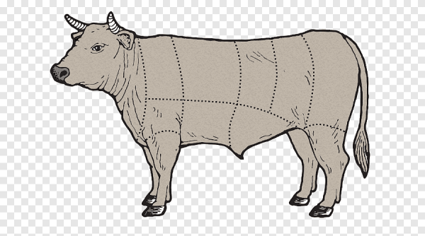 Говядина Ангус корова