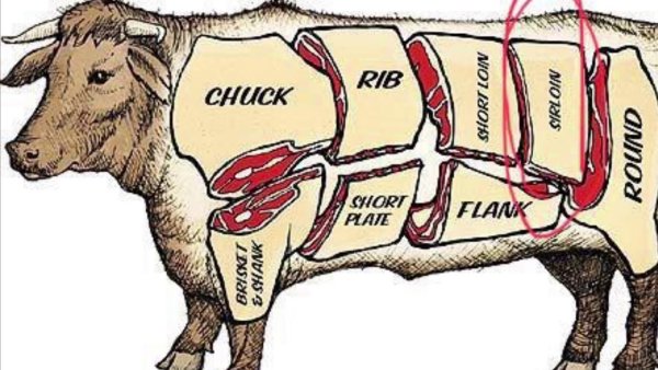 Стейк вектор