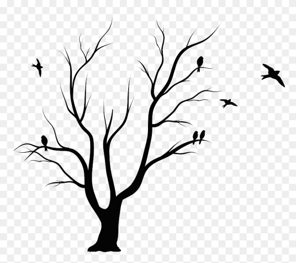 Сухое дерево силуэт