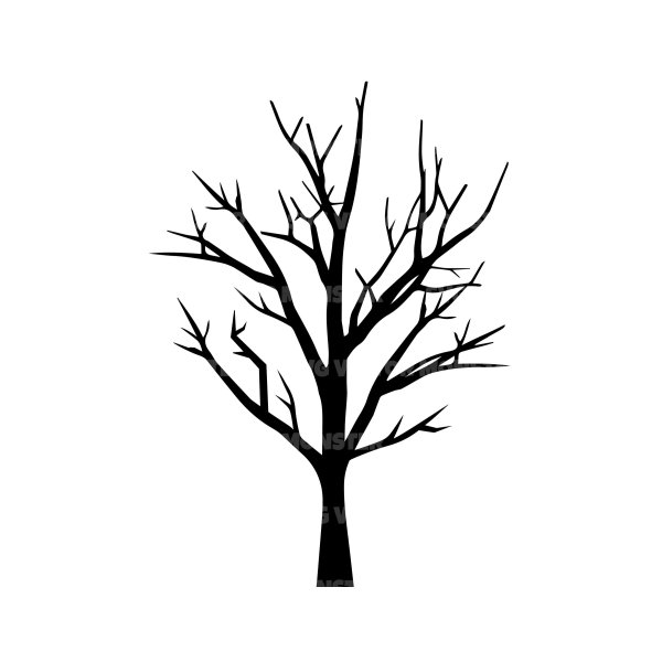 Ствол дерева без листьев