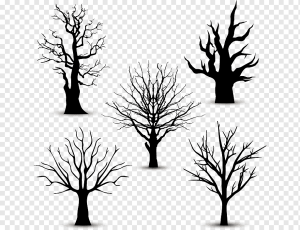 Ствол дерева силуэт