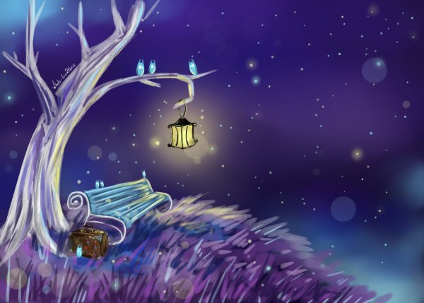 Ночь волшебство