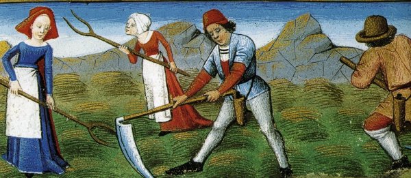 Труд крестьян средневековья в Англии 14 века