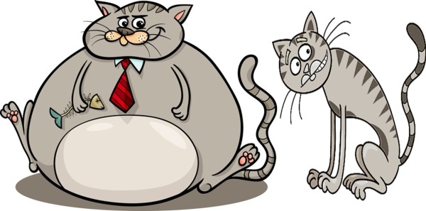 Толстый кот