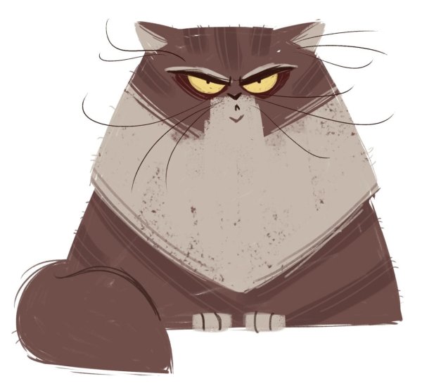 Недовольный кот