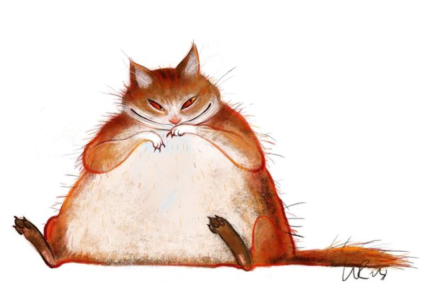 Толстый кот арт