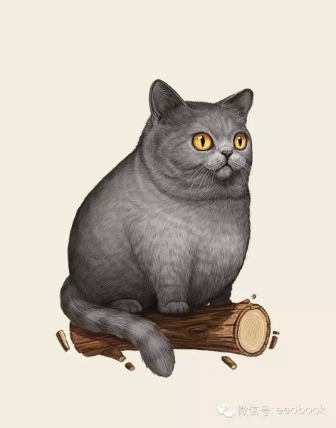 Кот британец арт