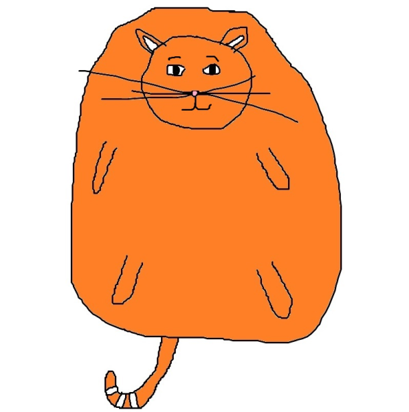 Оранжевый толстый кот