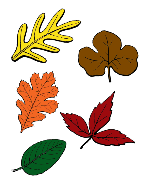 Листочки деревьев