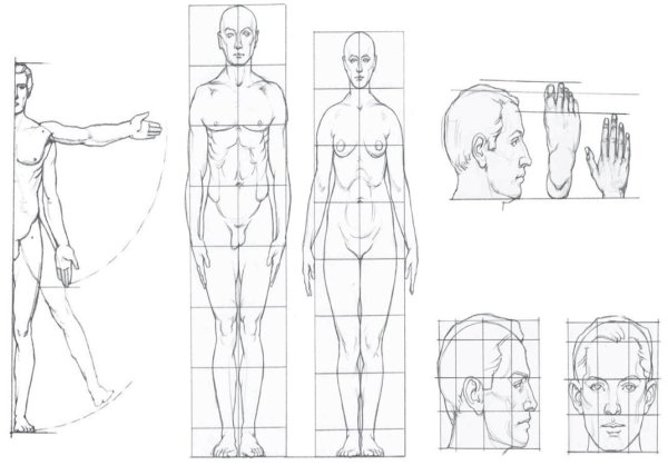 Уроки рисования человека