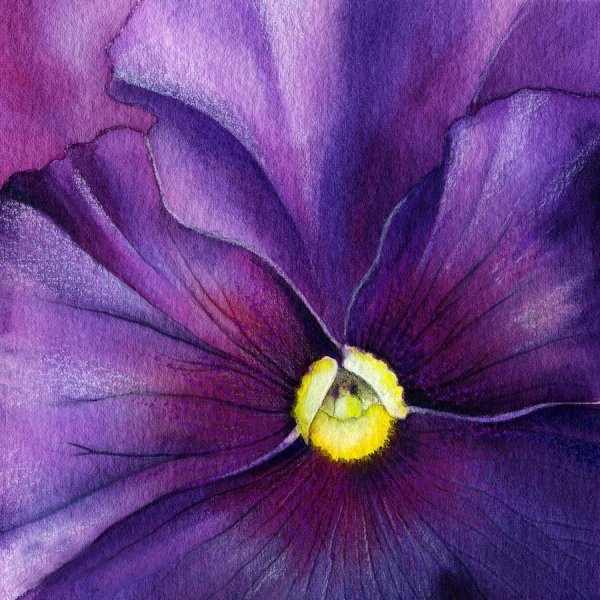 Фиолетовый яд Фредерик Уайт